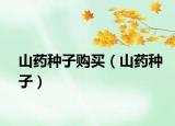 山药种子购买（山药种子）