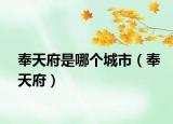 奉天府是哪个城市（奉天府）