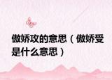 傲娇攻的意思（傲娇受是什么意思）