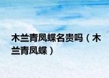 木兰青凤蝶名贵吗（木兰青凤蝶）