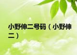 小野伸二号码（小野伸二）
