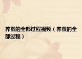 养蚕的全部过程视频（养蚕的全部过程）
