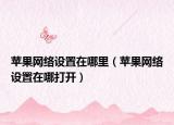 苹果网络设置在哪里（苹果网络设置在哪打开）