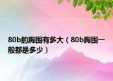 80b的胸围有多大（80b胸围一般都是多少）