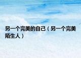 另一个完美的自己（另一个完美陌生人）