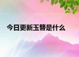今日更新玉簪是什么