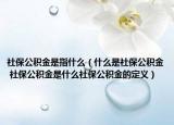 社保公积金是指什么（什么是社保公积金 社保公积金是什么社保公积金的定义）