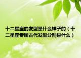 十二星座的发型是什么样子的（十二星座专属古代发型分别是什么）
