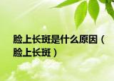 脸上长斑是什么原因（脸上长斑）