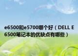 e6500和e5700哪个好（DELL E6500笔记本的优缺点有哪些）