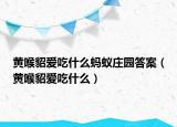 黄喉貂爱吃什么蚂蚁庄园答案（黄喉貂爱吃什么）