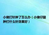 小猪打针肿了怎么办（小猪仔腿肿打什么针效果好）