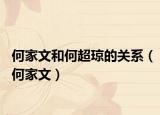 何家文和何超琼的关系（何家文）