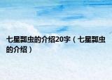 七星瓢虫的介绍20字（七星瓢虫的介绍）