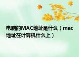 电脑的MAC地址是什么（mac地址在计算机什么上）