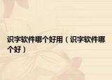 识字软件哪个好用（识字软件哪个好）