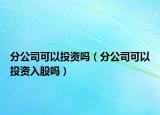 分公司可以投资吗（分公司可以投资入股吗）