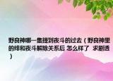 野良神哪一集提到夜斗的过去（野良神里的绯和夜斗解除关系后 怎么样了  求剧透）