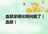 血尿是哪出现问题了（血尿）