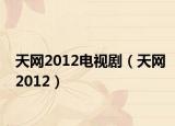 天网2012电视剧（天网2012）