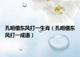 孔明借东风打一生肖（孔明借东风打一成语）