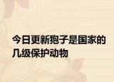 今日更新狍子是国家的几级保护动物