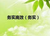 务实高效（务实）