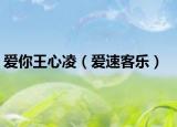 爱你王心凌（爱速客乐）