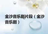 金沙音乐剧片段（金沙音乐剧）
