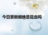 今日更新蜘蛛是昆虫吗