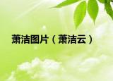 萧洁图片（萧洁云）