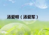 汤爱明（汤爱军）