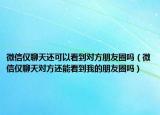 微信仅聊天还可以看到对方朋友圈吗（微信仅聊天对方还能看到我的朋友圈吗）