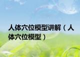 人体穴位模型讲解（人体穴位模型）
