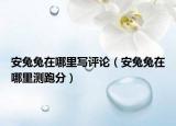 安兔兔在哪里写评论（安兔兔在哪里测跑分）