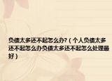 负债太多还不起怎么办?（个人负债太多还不起怎么办负债太多还不起怎么处理最好）