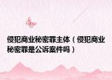 侵犯商业秘密罪主体（侵犯商业秘密罪是公诉案件吗）