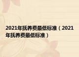 2021年抚养费最低标准（2021年抚养费最低标准）