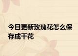 今日更新玫瑰花怎么保存成干花