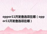 oppor11开发者选项在哪（oppor11开发者选项在哪）