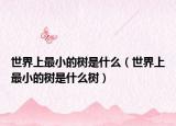 世界上最小的树是什么（世界上最小的树是什么树）