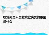 嗅觉失灵不灵敏嗅觉失灵的原因是什么