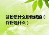 谷粉是什么粉做成的（谷粉是什么）