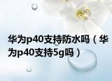 华为p40支持防水吗（华为p40支持5g吗）