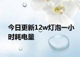 今日更新12w灯泡一小时耗电量