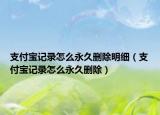 支付宝记录怎么永久删除明细（支付宝记录怎么永久删除）