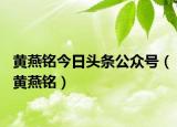 黄燕铭今日头条公众号（黄燕铭）