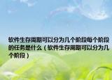 软件生存周期可以分为几个阶段每个阶段的任务是什么（软件生存周期可以分为几个阶段）