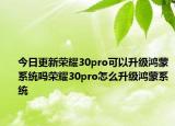 今日更新荣耀30pro可以升级鸿蒙系统吗荣耀30pro怎么升级鸿蒙系统