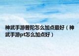 神武手游普陀怎么加点最好（神武手游pt怎么加点好）
